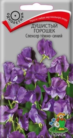 Душистый горошек Спенсер тёмно-синий 1г Душистый горошек Спенсер тёмно-синий 1г