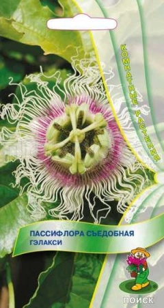 Пассифлора съедобная Гэлакси 0,2гр Пассифлора съедобная Гэлакси 0,2гр