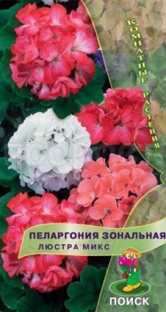 Пеларгония Люстра микс 5шт Пеларгония Люстра микс 5шт