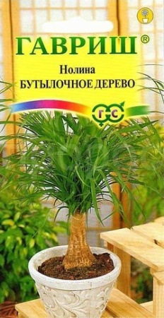 Нолина Бутылочное дерево 3шт Нолина Бутылочное дерево 3шт