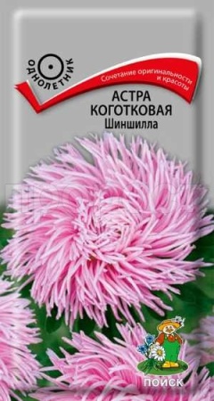 Астра коготковая Шиншилла 0,3г Астра коготковая Шиншилла 0,3г
