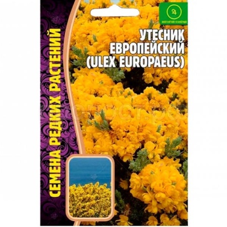 Утесник Европейский 30 шт Утесник Европейский 30 шт