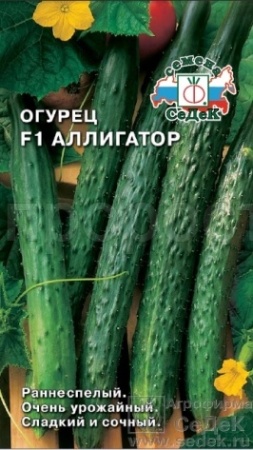 Огурец Аллигатор 2 F1 (Китайский болезнеустойчивый) 0,2г Огурец Аллигатор 2 F1 (Китайский болезнеустойчивый) 0,2г