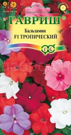 Бальзамин Тропическая смесь Уоллера 4шт  Бальзамин Тропическая смесь Уоллера 4шт