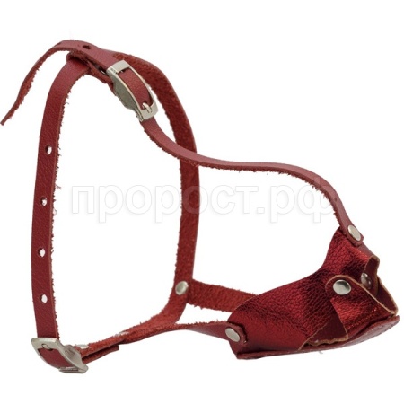 Намордник кожа цельнокроеный Шпиц/04014012/Каскад Намордник кожа цельнокроеный Шпиц/04014012/Каскад