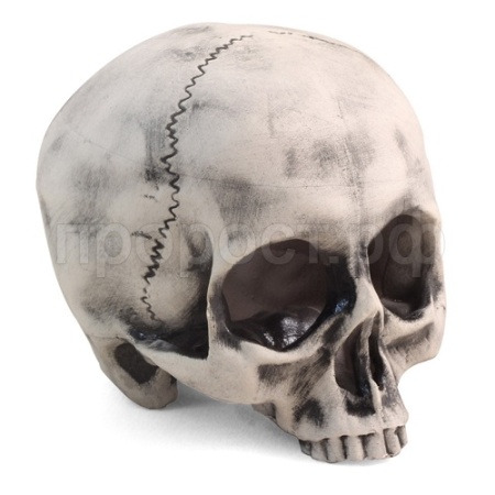 Грот Капитан Флинт 108*108*118мм 2808LD  Грот Капитан Флинт 108*108*118мм 2808LD