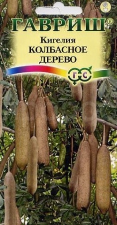Кигелия Колбасное дерево 3шт 