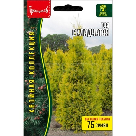 Редкие растения Туя Складчатая 0,1 г  Редкие растения Туя Складчатая 0,1 г
