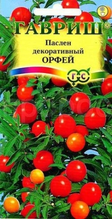Паслен Орфей декоративн. 12шт Паслен Орфей декоративн. 12шт