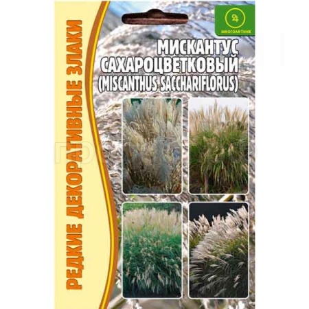 Мискантус Сахароцветковый (Мiscanthus sacchariflor) 0,1г Мискантус Сахароцветковый (Мiscanthus sacchariflor) 0,1г