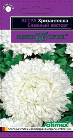 Астра Хризантелла Снежный восторг 0,05 г Астра Хризантелла Снежный восторг 0,05 г