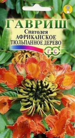 Спатодея Африканское тюльпанное дерево 0,05г  Спатодея Африканское тюльпанное дерево 0,05г