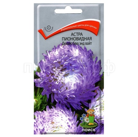 Астра пионовидная Дюшес блю энд вайт 0,3г  Астра пионовидная Дюшес блю энд вайт 0,3г