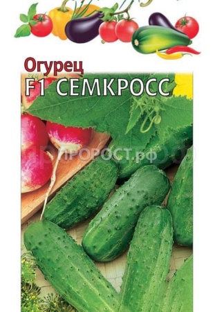 Огурец Семкросс F1 1г Огурец Семкросс F1 1г