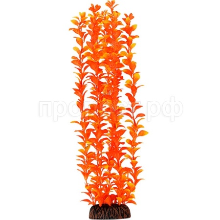 Растение Людвигия оранжевое 400мм/74044059/Триол Растение Людвигия оранжевое 400мм/74044059/Триол