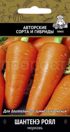Морковь Шантенэ Роял 2г  Морковь Шантенэ Роял 2г