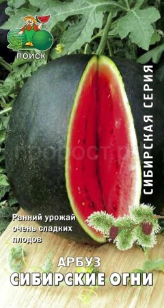 Арбуз Сибирские огни 15шт  Арбуз Сибирские огни 15шт