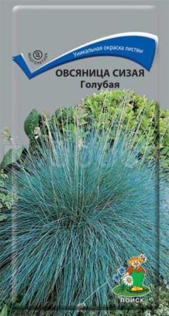 Овсяница сизая Голубая 0,1г Овсяница сизая Голубая 0,1г