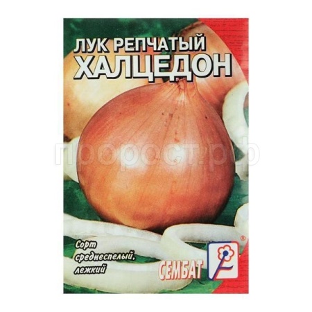 Лук репчатый Халцедон 3г XXXL  Лук репчатый Халцедон 3г XXXL