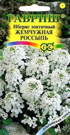 Иберис Жемчужная россыпь зонтичный  0,1г Иберис Жемчужная россыпь зонтичный  0,1г