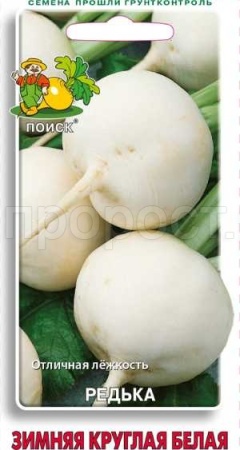 Редька Зимняя круглая белая 2г  Редька Зимняя круглая белая 2г