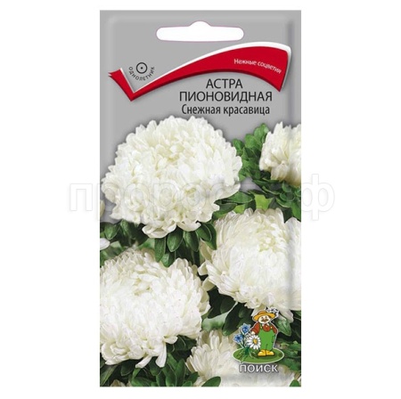 Астра пионовидная Снежная красавица 0,3г Астра пионовидная Снежная красавица 0,3г