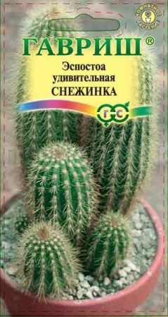 Эспостоа шерстистая Снежинка 4шт Эспостоа шерстистая Снежинка 4шт