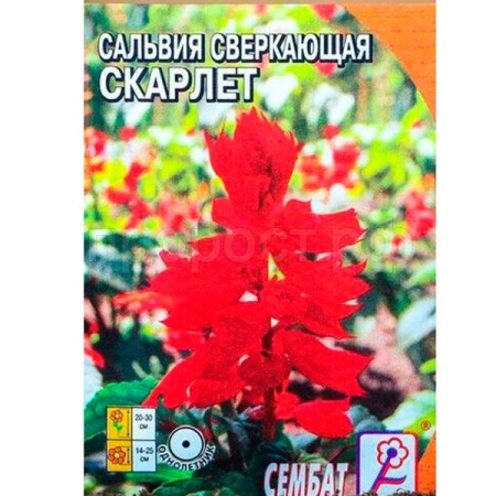 Сембат XXXL Сальвия сверкающая Скарлет 0.2г