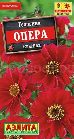 Георгина Опера красная 7шт Георгина Опера красная 7шт