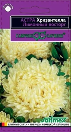 Астра Хризантелла Лимонный восторг 0,05 г Астра Хризантелла Лимонный восторг 0,05 г