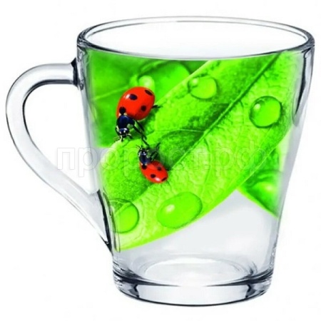Кружка Живая природа Зеленый лист 250мл/1649-Д  Кружка Живая природа Зеленый лист 250мл/1649-Д