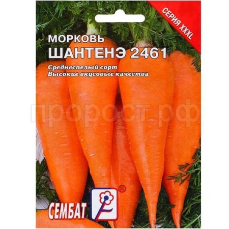 Морковь Шантенэ 2461 10 г  Морковь Шантенэ 2461 10 г