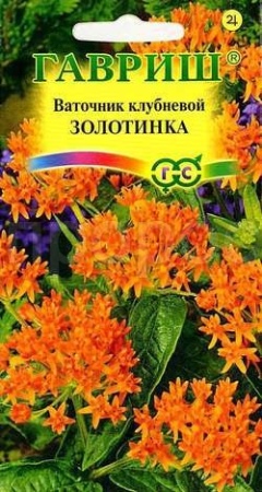 Ваточник клубневой Золотинка 0,03г Ваточник клубневой Золотинка 0,03г