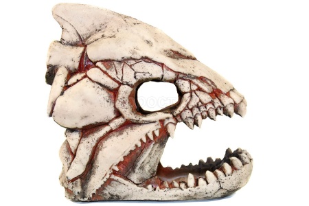 Грот Deksi Скелет рыбы 902 20*10*19см/250826 Грот Deksi Скелет рыбы 902 20*10*19см/250826