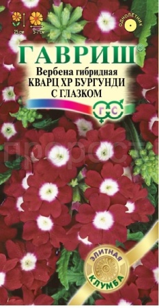 Вербена Кварц ХР Бургунди с глазком 4шт Вербена Кварц ХР Бургунди с глазком 4шт