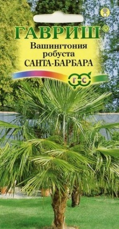 Вашингтония мощная Санта-Барбара 3шт Вашингтония мощная Санта-Барбара 3шт