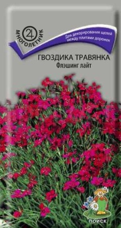 Гвоздика травянка Флэшинг Лайт 0,1г Гвоздика травянка Флэшинг Лайт 0,1г