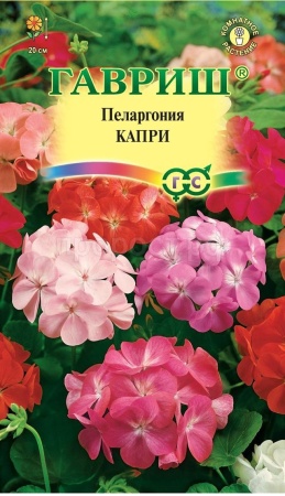 Пеларгония Капри F2 зональная 4 шт  Пеларгония Капри F2 зональная 4 шт
