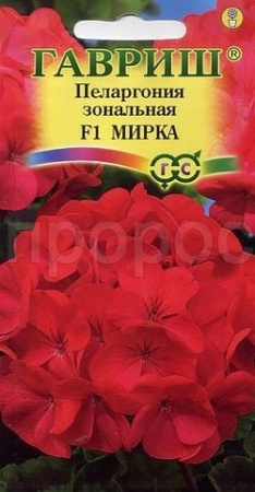 Пеларгония Мирка зональная 4 шт Пеларгония Мирка зональная 4 шт