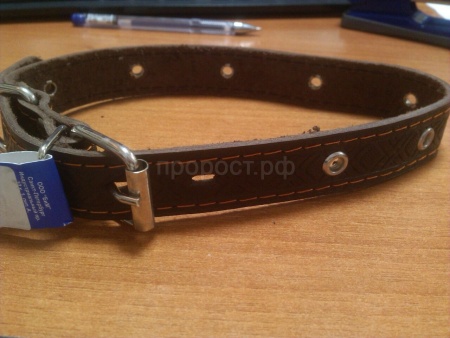 Ошейник кожа 25мм 1слойный безразмерный 53-55см/40700