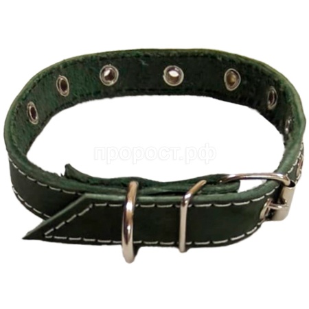 Ошейник кожа зелёный 1сл 30мм DONBARON Ошейник кожа зелёный 1сл 30мм DONBARON