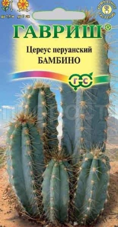 Цереус перуанский Бамбино 4шт Цереус перуанский Бамбино 4шт