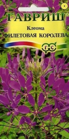 Клеома Фиолетовая королева 0,3гр. Клеома Фиолетовая королева 0,3гр.