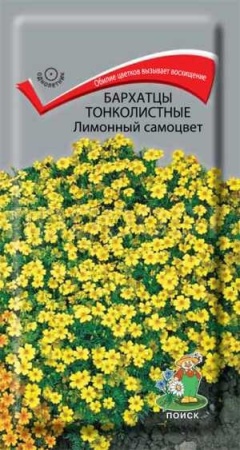 Бархатцы Лимонный самоцвет 0,1г  Бархатцы Лимонный самоцвет 0,1г