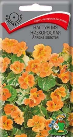 Настурция Аляска золотая 1гр Настурция Аляска золотая 1гр