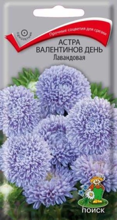 Астра Валентинов день Лавандовая 0,2гр  Астра Валентинов день Лавандовая 0,2гр