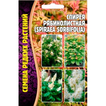 Спирея Рябинолистная 0,02г Спирея Рябинолистная 0,02г