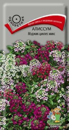 Алиссум Мэджик циклес микс 0,1г Алиссум Мэджик циклес микс 0,1г