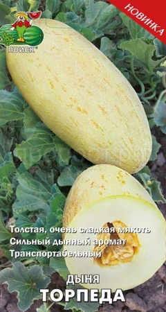 Дыня Торпеда 15шт Дыня Торпеда 15шт