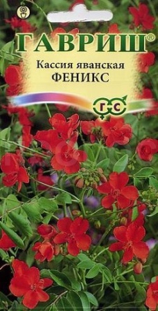 Кассия Яванская Феникс 3шт Кассия Яванская Феникс 3шт